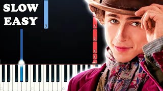 Wonka  Pure Imagination  Timothee Chalamet SLOW EASY PIANO TUTORIAL [upl. by Creight]