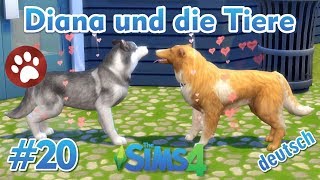 Sims 4  Diana und die Tiere 20  Karly und Oreo werden endlich ein Paar [upl. by Sterling]