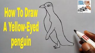 HOW TO DRAW A YELLOWEYED PENGUIN [upl. by Rodi442]