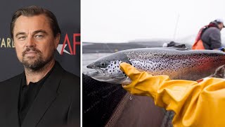 Actor Leonardo DiCaprio calls for new BC fish farming practices [upl. by Yecac447]