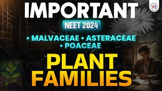 IMPORTANT PLANT FAMILIES FOR NEET 2024  MALVACEAE ASTERACEAE POACEAE  NEET BIOLOGY BY SANKALP [upl. by Rodd137]