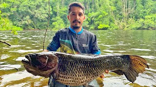 ESSE LUGAR É O LUGAR QUE MAIS TEM TRAIRÃO NA FACE DA TERRA Mato Grosso divisa com Pará [upl. by Eihtur]