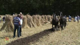 2010 Stoppelhaene Roggemaaiersdag Ploegen met paarden [upl. by Yruj216]