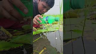 Unbelievable plastic Bottle Hook Fishing Techinques🐬 Bottle Hook Fishing challenge 2024 shorts [upl. by Sholeen862]