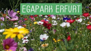 egapark Erfurt in 70 Sekunden [upl. by Swithin]