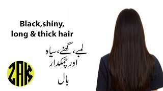 Healthy shiny amp long hairs Home made remedy for thick hairs By ZAK productios [upl. by Juliana796]