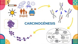 Carcinogénesis  Oncología [upl. by Dylana]