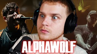 EMOTIONAL ALPHA WOLF  Alpha Wolf  Whenever Youre Ready Reaction [upl. by Pepi255]