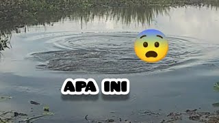 IKAN GABUS DI SINI MENGGILASPOT DI SINI TERNYATA BANYAK DI HUNI IKAN [upl. by Enohpesrep]