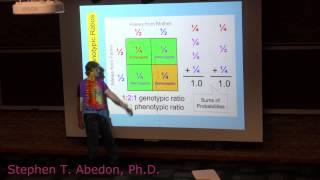 Genotypic versus Phenotypic Ratios [upl. by Ecinnaj]