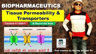 Tissue Permeability of Drugs  Transporters Symporter Antiporter  L11Unit1 Biopharmaceutics 6th [upl. by Mendelson]