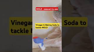 Cost Effective Mold Removal DIY Solutions [upl. by Neumark470]