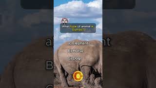 Think Fast Win Big triviatime quiz foryou [upl. by Egon331]