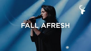 Fall Afresh  Amanda Cook  Bethel Music Worship [upl. by Darnoc]