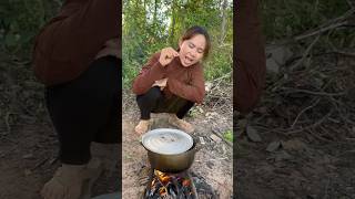 SurvivalSMART and USEFUL Ideas in the Jungle and the Best Ways v4 camping bushcraft outdoors [upl. by Seena]