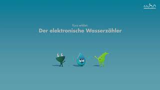 Erklärvideo zum Ablesen des elektronischen Wasserzählers [upl. by Shirlene]