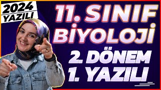 11Sınıf Biyoloji 2Dönem 1Yazılı 2024 yazılı biyoloji [upl. by Pellegrini]