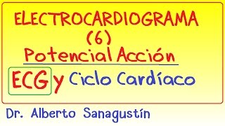 Electrocardiograma 6 potencial acción cardíaco ECG y ciclo cardíaco correspondencia [upl. by Toiboid]