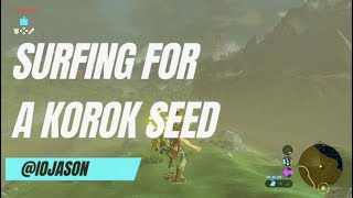 Korok Seed Shield Surfing in Zelda BotW [upl. by Akived51]