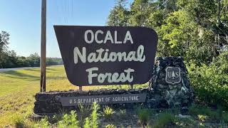 Ocala National Forest [upl. by Aryek]