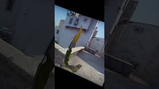 Falchion Knife  Lore  hidden feature Pala Bıçağı  Mazi  gizli özellik CSGO [upl. by Boyes159]