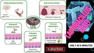 lactobacillus microbiology lecture lactobacillus casei Easy Microbiology [upl. by Esital]