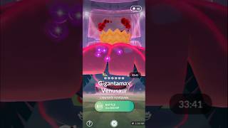 how to catch Giganta max venusaur popular Dynamax pokemonpoker [upl. by Scheider]