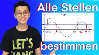 Sinusfunktion Alle Winkel und x bestimmen Einfach erklärt [upl. by Nydnarb]