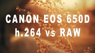 Canon EOS 650D T4i  h264 vs RAW [upl. by Klepac]