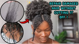 HOW TO REPAIR DAMAGED HAIR AT HOME without cutting it off [upl. by Iralam]