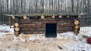 Building a Pig Cabin  Updated Pig Pen Tour [upl. by Alberik]