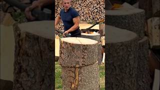 Strong hornbeam tree woodworking firewood [upl. by Chastity646]