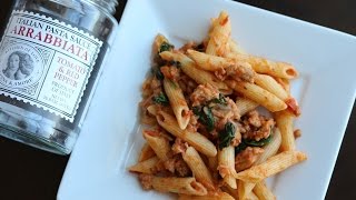 Arrabbiata Pasta with Turkey amp Spinach [upl. by Annaeirb]