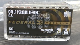 Federal Punch 22LRGel Test and Velocity ComparisonPistol vs Rifle [upl. by Hilaria27]