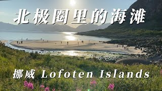 北极圈里的海滩什么样？ 挪威Lofoten Islands beaches [upl. by Magdaia]