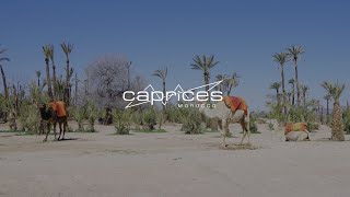 Caprices Festival MOROCCO Marrakech 2023  Official Aftermovie [upl. by Adnarom769]