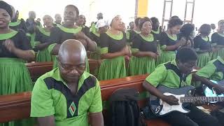 St Daniels Cathedral Kisemi Kimo Choir Solwezi Zambia [upl. by Acinorrev]