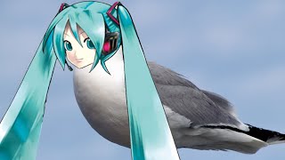 miku è un povero gabbiano [upl. by Arturo242]