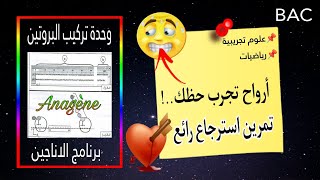 🎯تمرين رائع حول polysome فكرة برنامج الاناجين  البوليزوم من وحدة تركيب البروتينبكالوريا [upl. by Yevette]