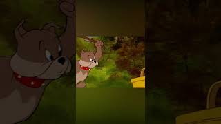 A Good Picnic shorts tomandjerry [upl. by Barabbas]