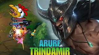 گيم بلي ARURF بالبطل تريندامير  WILD RIFT TRINDAMIR [upl. by Enomar]