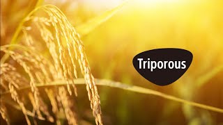 Triporous™ Sonys a novel porous carbon material  Official Video [upl. by Rocker]