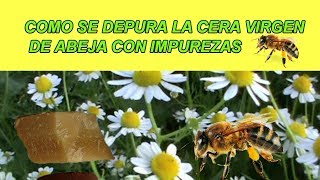 COMO SE DEPURA LA CERA VIRGEN DE ABEJA CON IMPUREZAS [upl. by Nomla]