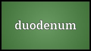 Duodenum Meaning [upl. by Hercules]