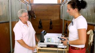 MASTERPULS  Equine Shockwave Therapy [upl. by Nonnad]