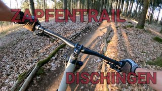 ZAPFENTRAIL DISCHINGEN  MTB OSTALB TRAILS [upl. by Estren]