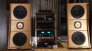 November HiFi Show 2024  Pure Project Audio  Tambai [upl. by Mclain991]