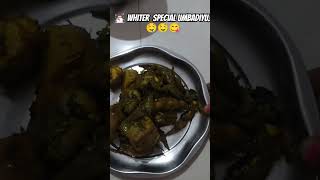 Umbadiyu😋 Kone khav 6 love song newsong silvassasmartcity music winter [upl. by Eugen]