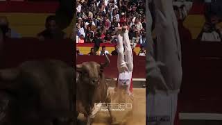 PERFECTO SALTO DEL ÁNGEL EN CASTELLÓN magdalena torosbravos recortes [upl. by Nyltyak756]