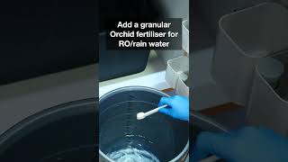 How I water my Orchids [upl. by Carmela]